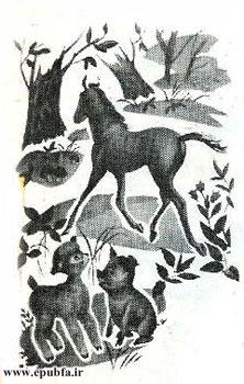 قصه کودکانه کرهاسب کوچولوی بامزه - محصول ایپابفا - ارشیو قصه و داستان کودکانه